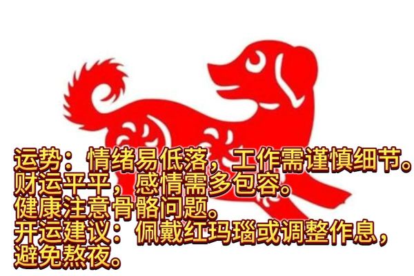 狗年本命年运势_狗年本命年注意什么