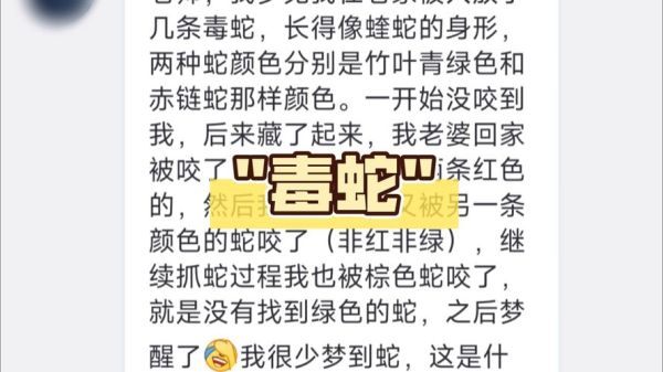 男人梦见被蛇咬是什么预兆_男人梦见蛇咬自己手