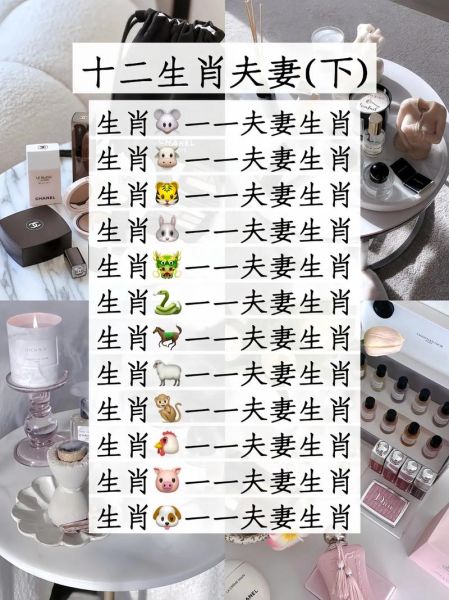属狗和属猪的和什么属相最配_狗猪最佳婚配属相有哪些