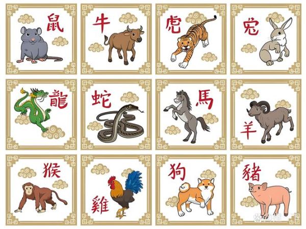 猪下个属相是什么_猪后面是什么生肖