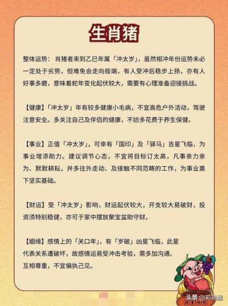 2014属猪全年运势如何_属猪人2014年运势详解