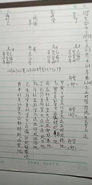 看属相算命准吗_属相算命可信吗
