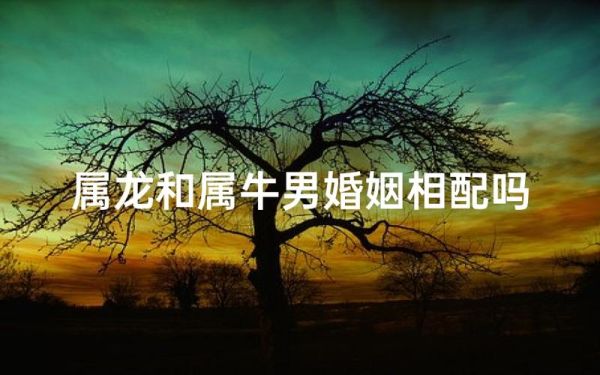 属牛男和属龙女相配吗_婚姻能长久吗