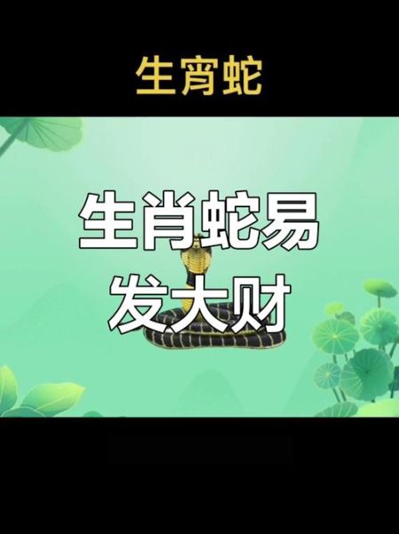 2017属蛇财运如何_属蛇人2017年怎么招财
