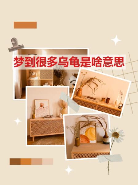 梦见大乌龟是什么意思_大乌龟梦境解析 梦见大乌龟是什么意思_大乌龟梦境解析