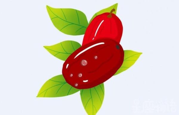 梦到买枣是什么意思_梦见买枣预示什么