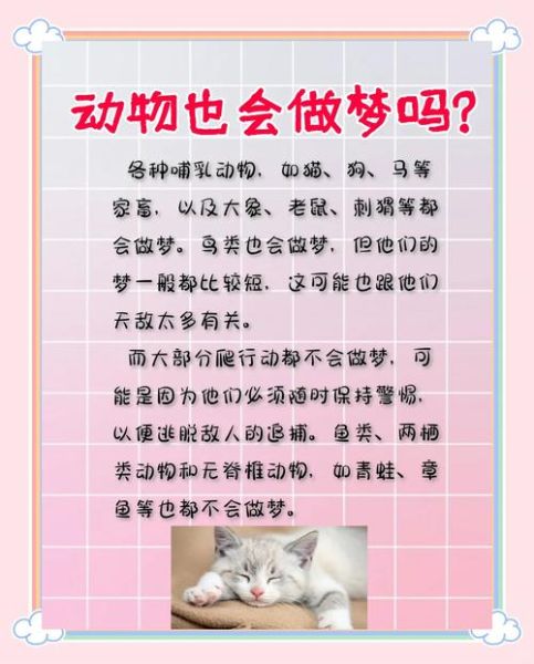 梦到小猩猩是什么意思_梦见小猩猩的预兆