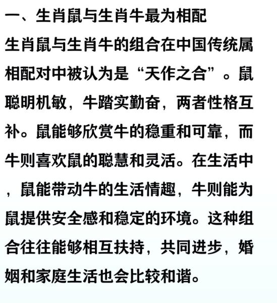 老鼠和老鼠属相_适合在一起吗