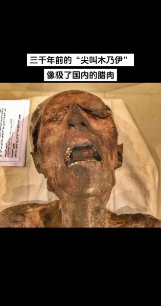 梦到木乃伊是什么意思_木乃伊梦境解析