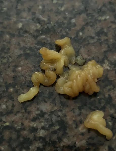 梦到油撒了一地是什么意思_梦见油洒了预示什么