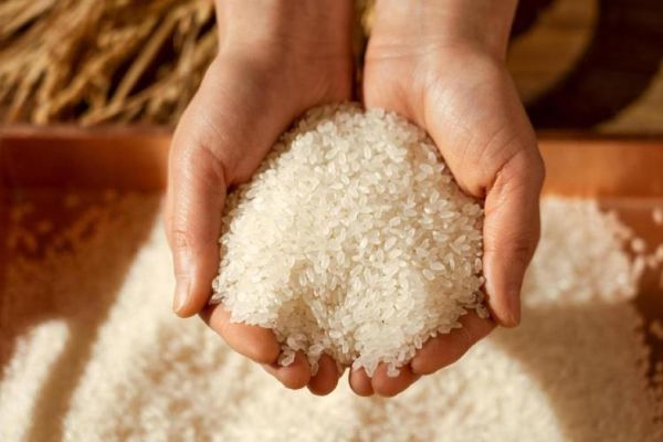 梦到生米是什么意思_生米在梦境里预示什么