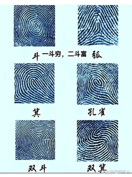 手相簸箕代表什么财运_簸箕纹多的人如何招财