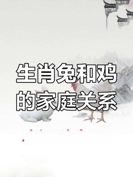 属兔和属鸡相克吗_兔鸡相冲怎么化解
