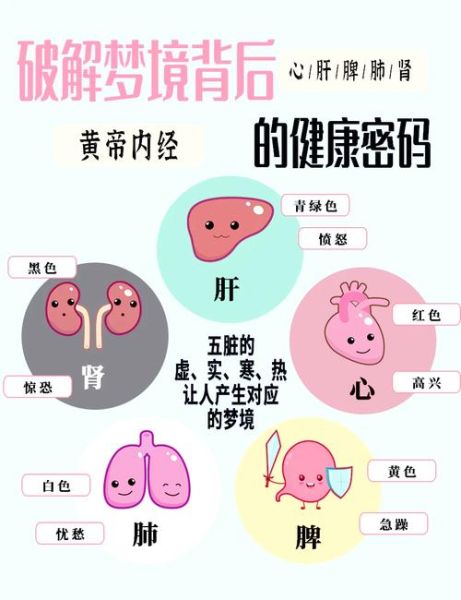 梦到内脏是什么意思_梦到内脏预示什么