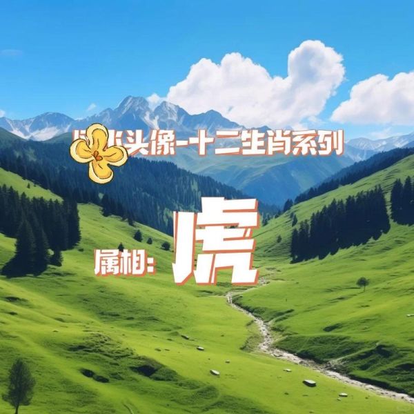 属虎2024财运如何_属虎今年财运旺不旺