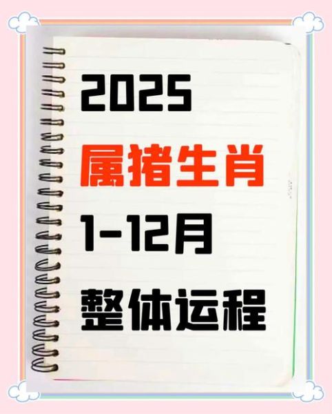 哪些属相适合生猪宝宝_2025备孕指南