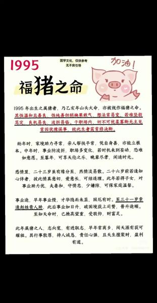 1995年属猪2025年运势详解_1995年出生今年财运如何