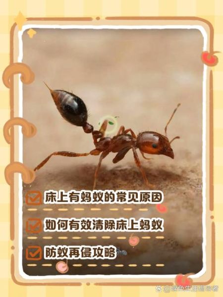 梦到床上有蚂蚁_意味着什么