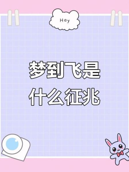 梦见飞起来是什么意思_为什么会梦到飞起来