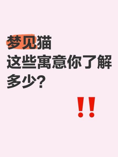 梦见猫是什么意思_梦到猫代表什么