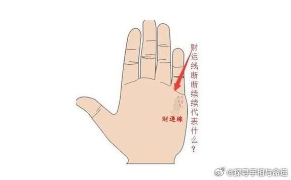 手纹哪里代表财运_哪条线是财富线
