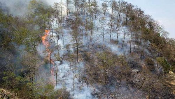 怀孕梦到柴是什么意思_孕妇梦见柴火吉凶