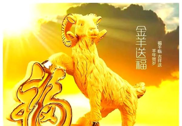 羊男2017年运势详解_如何转运