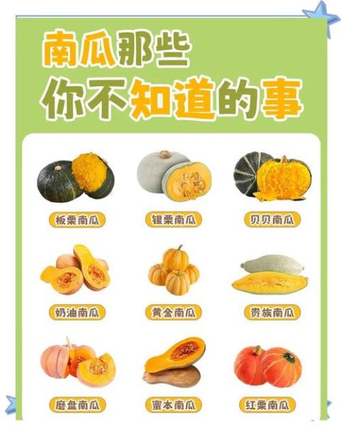 梦到南瓜是什么意思_梦见南瓜预示什么