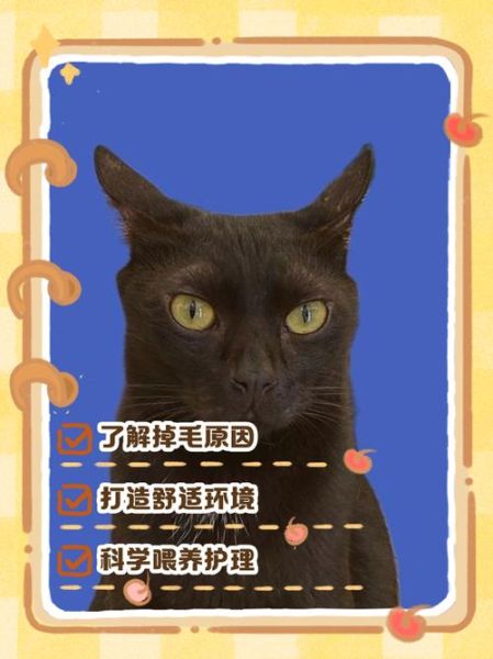 梦到掉毛是什么意思_梦见掉毛怎么办