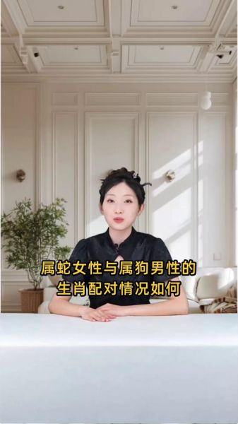 属狗和属蛇的合不合_能过一辈子吗