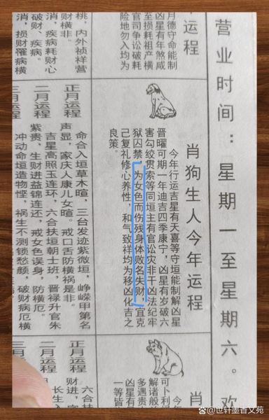 1994年运势如何_属狗人事业财运全解析