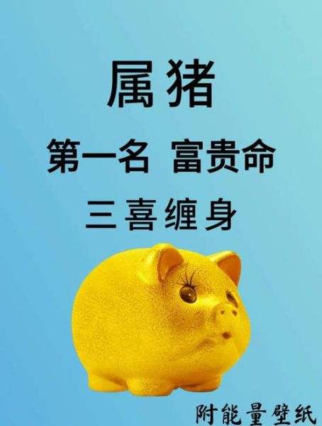 属猪的人命运好吗_属猪适合做什么工作
