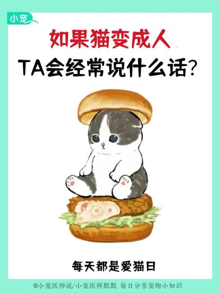 梦到猫变人_预示什么
