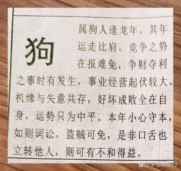 戌狗年运势如何_属狗人2024年财运好吗