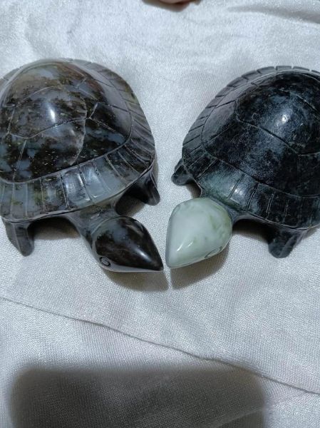 乌龟当道破解财运_如何化解挡财风水