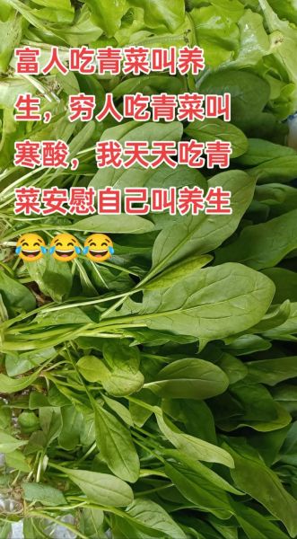梦到吃青菜是什么意思_梦见吃青菜的预兆