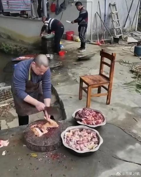 梦到煮狗肉_有什么预兆