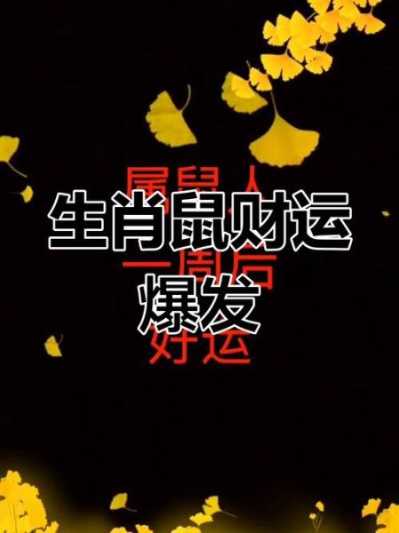 2016属鼠的运势如何_属鼠人2016年财运怎么样