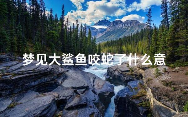 梦到抓鲨鱼是什么意思_梦见抓鲨鱼好不好