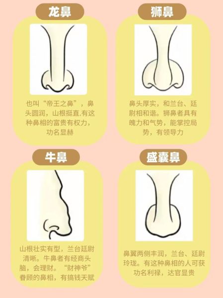鼻子财运管几岁_面相鼻子看财富年龄