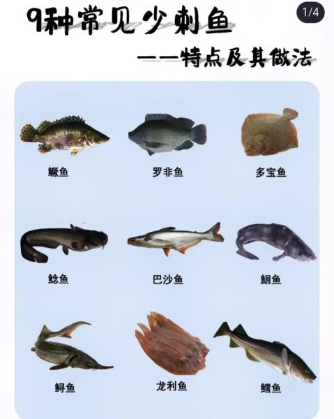 梦到鱼上身是什么意思_梦到鱼上身预示着什么