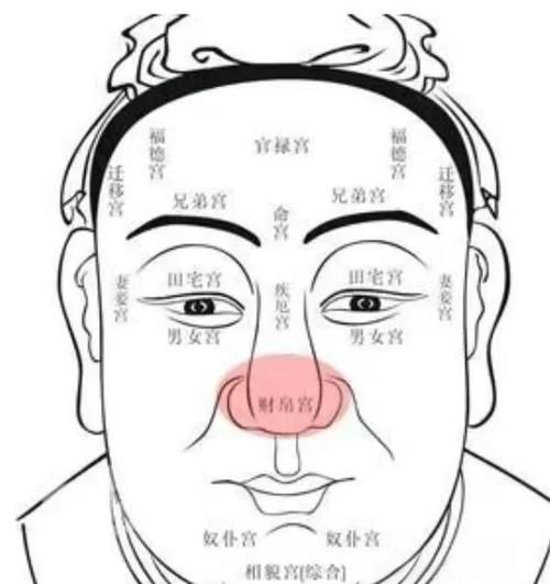 鼻孔外露财运不好吗_如何改善面相守财