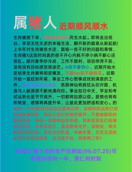 属猪人2024年运势详解_属猪今年财运如何