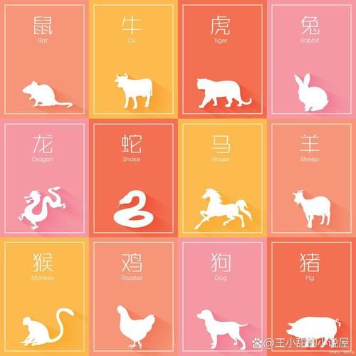 28属相2018运势_2018年28属相财运如何