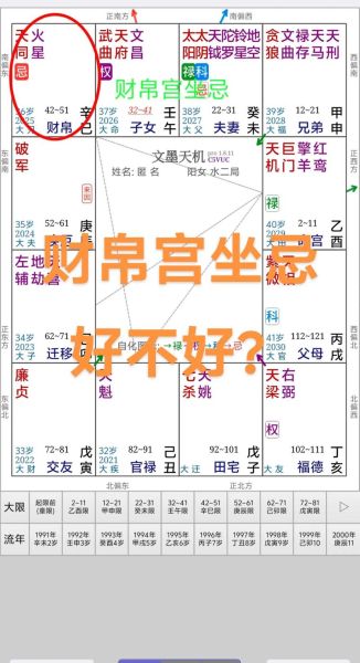 紫微斗数看财运大小_紫微怎么看财富等级