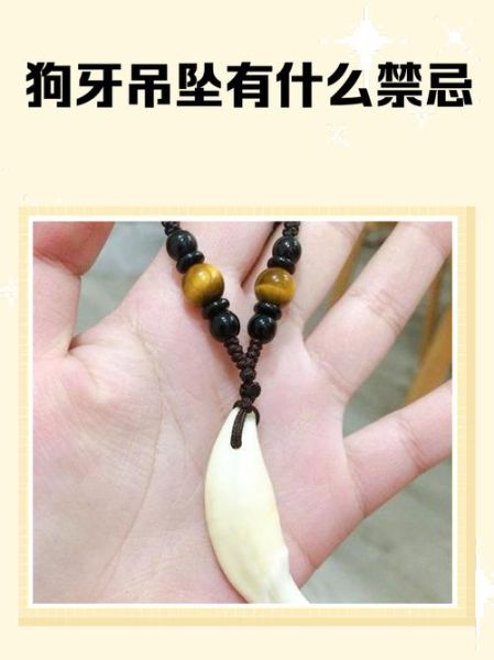 狗牙增财运是真的吗_狗牙招财怎么戴