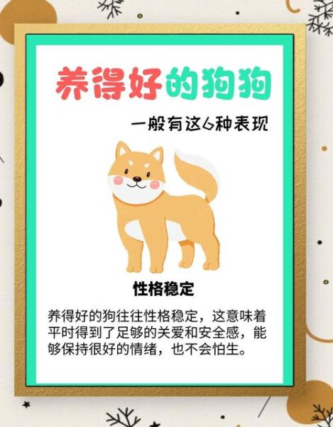 狗每月运势运程_如何提升狗狗幸福感