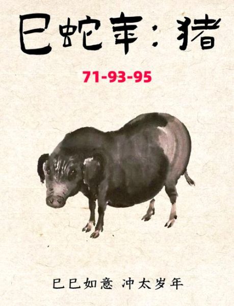 95属猪下半年运势_如何转运