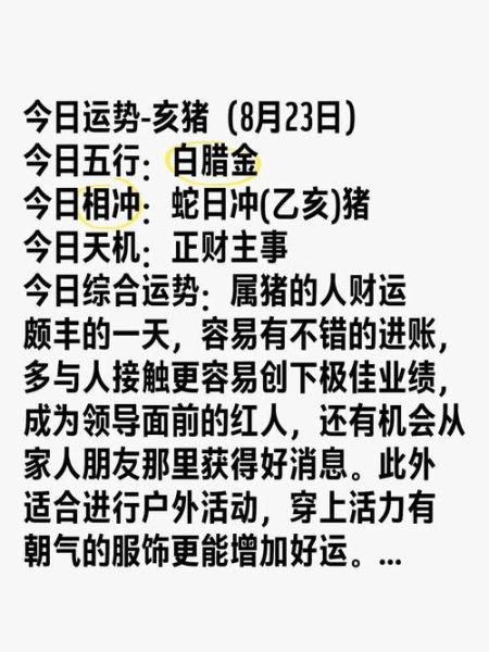 1995年属猪2016年运势_2016年属猪人全年运势如何