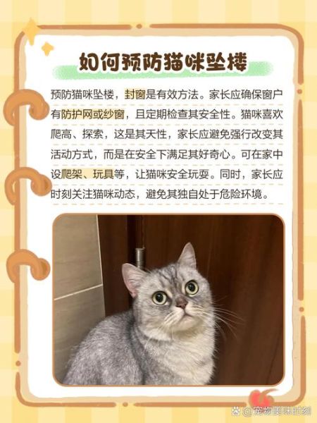 梦到猫活了_猫死而复生预示什么